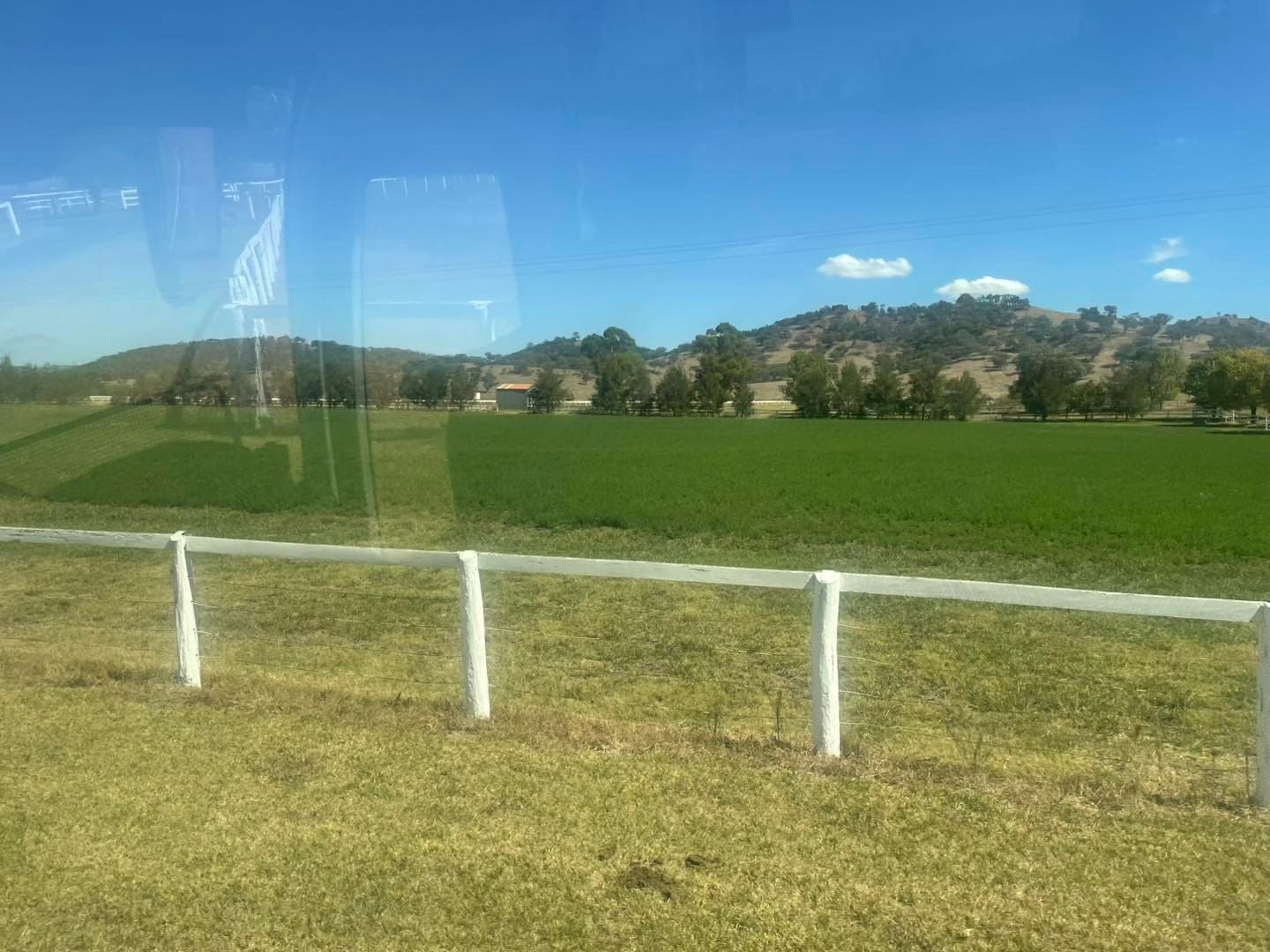 Dubbo Zoo 2025 Image -67de049daff22